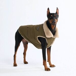 NWT! Spark Paws Workdog Insulated Utility Jacket (3XL)